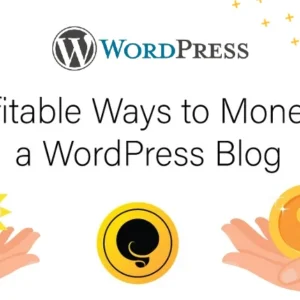 Profitable ways to monetize